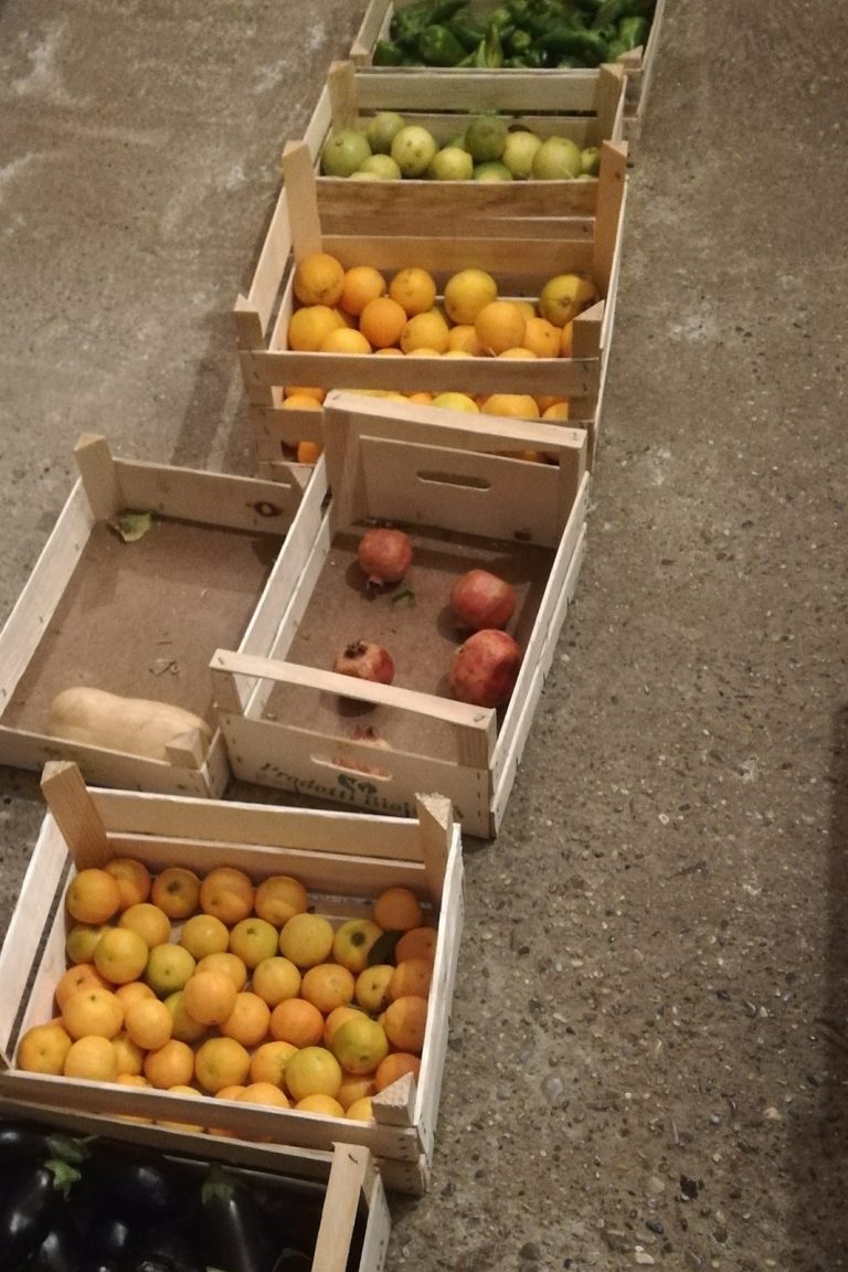 Bild mit Obstkisten, viele Zitrusfrüchte, die nenbeneinander sind, teils leer, teils voll, kein System, aufgeschoben